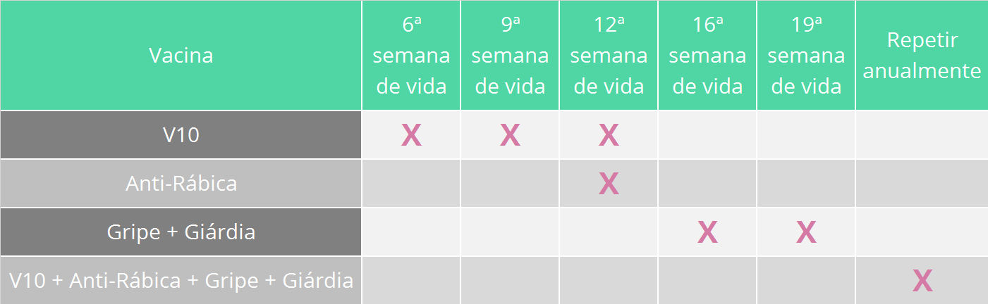 Protocolo de vacinação veterinária para cães